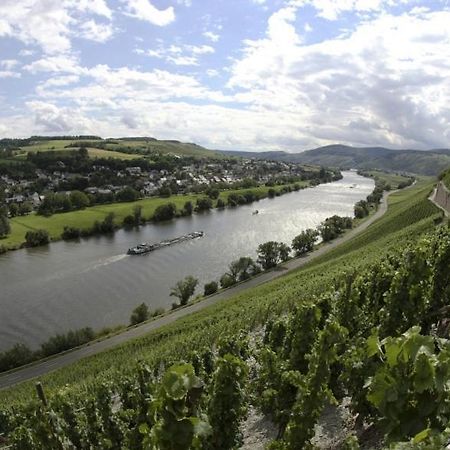 Апартаменты Weingut Fehres Браунеберг Экстерьер фото