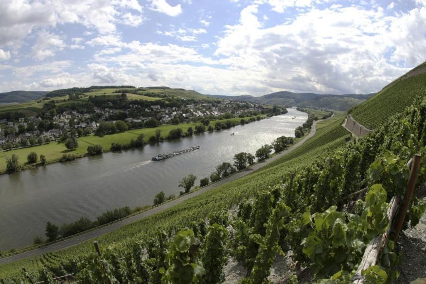 Апартаменты Weingut Fehres Браунеберг Экстерьер фото